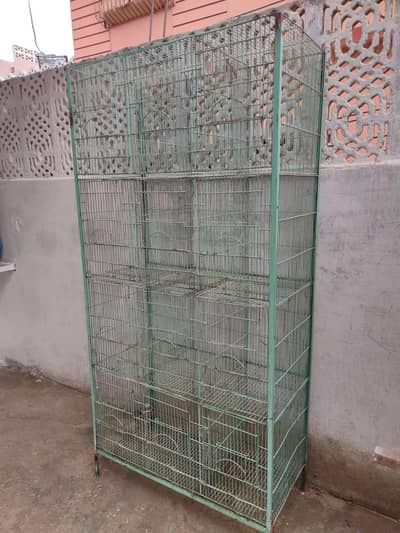 Parrot and Birds Cages (0318-1388824)