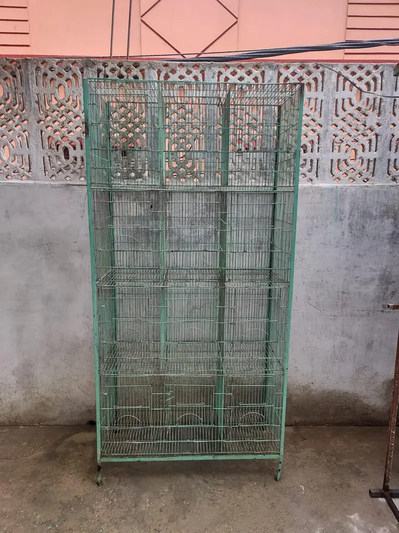 Parrot and Birds Cages (0318-1388824) — photo 2