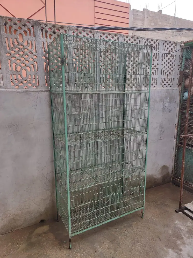 Parrot and Birds Cages (0318-1388824) — photo 3