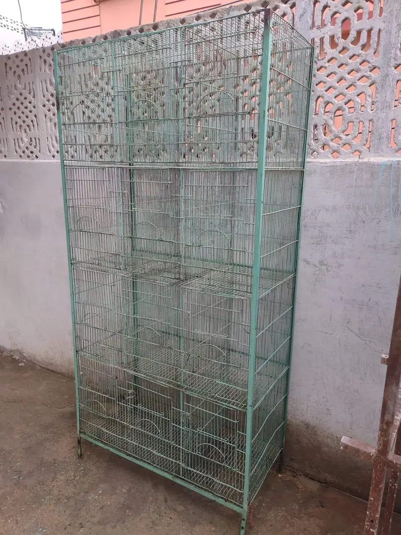 Parrot and Birds Cages (0318-1388824) — photo 4