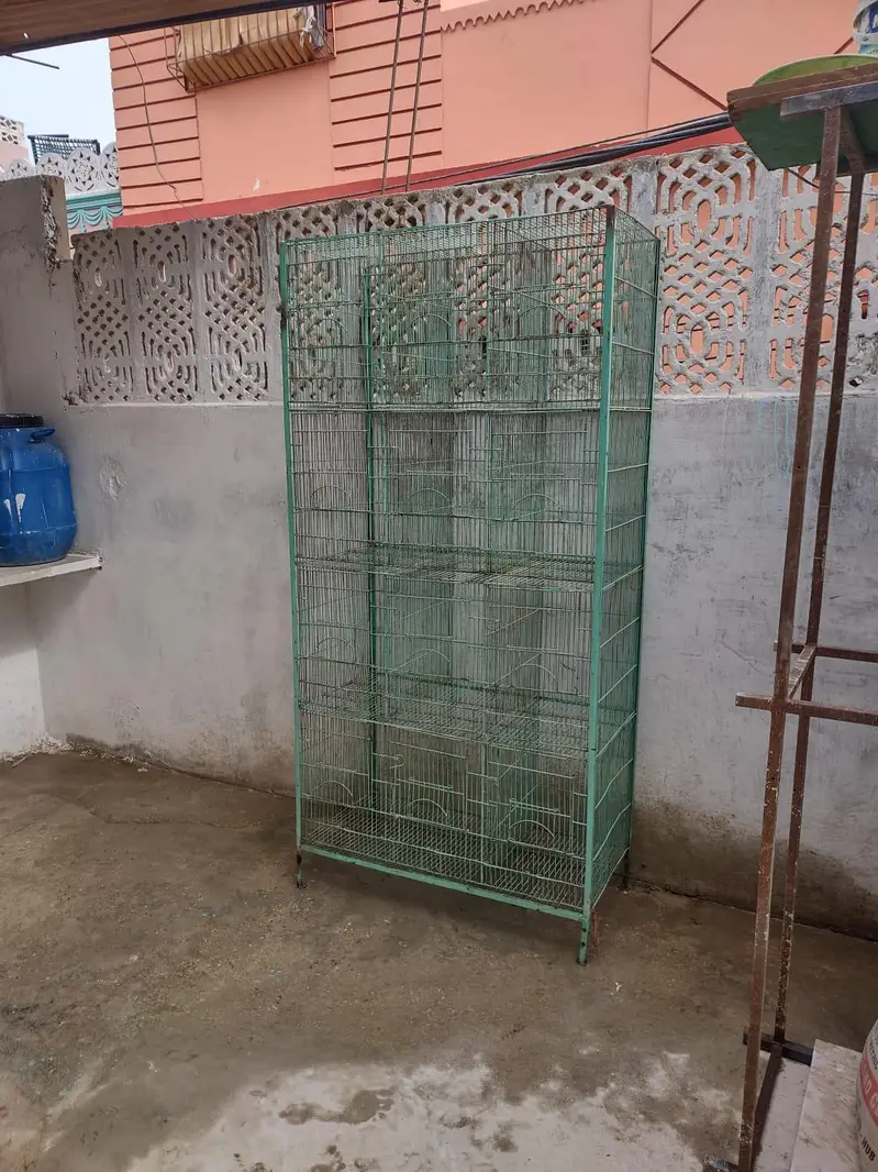 Parrot and Birds Cages (0318-1388824) — photo 5