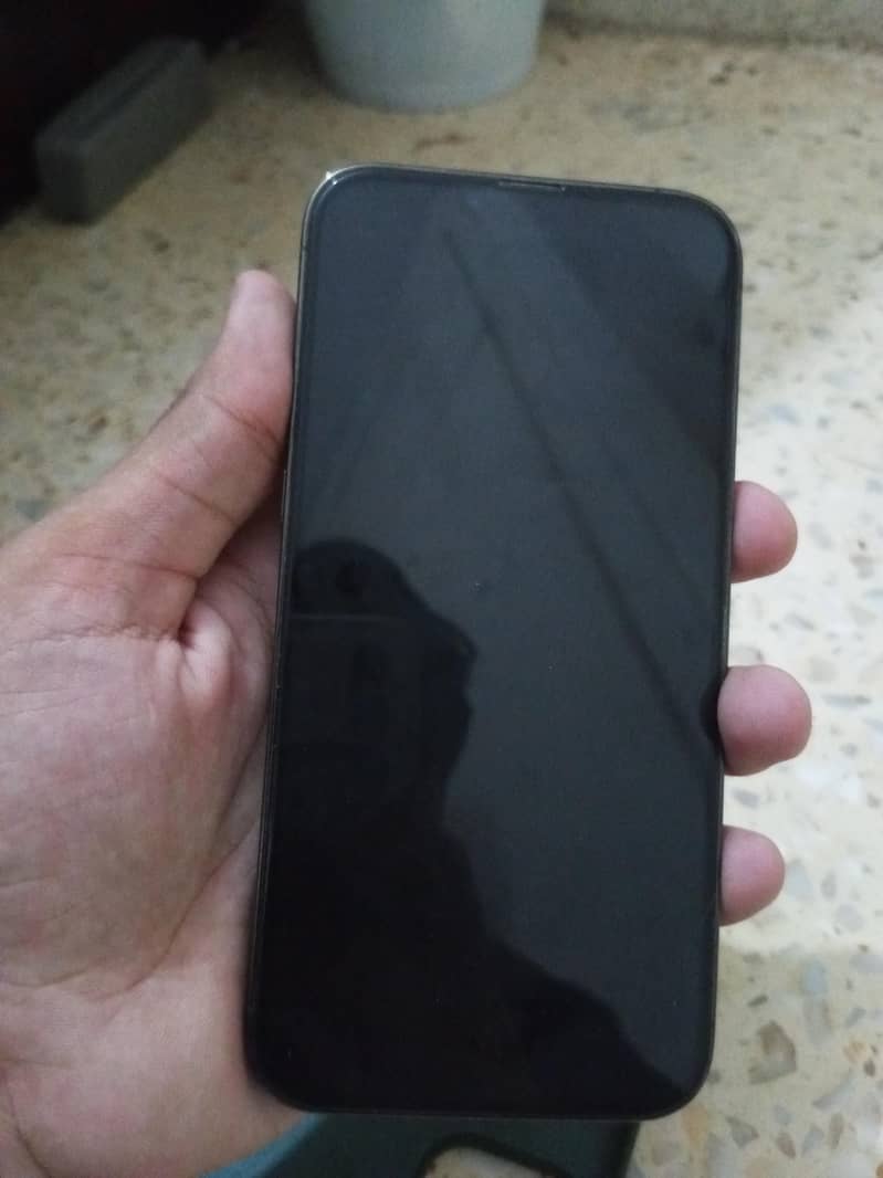 Apple iPhone 13 Pro Max 2