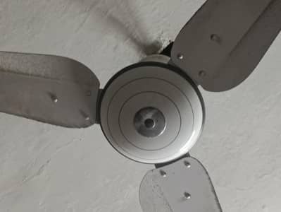SONEX FAN PURE COPPER