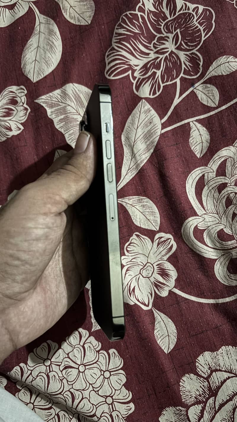 Apple iPhone 13 Pro Max 1