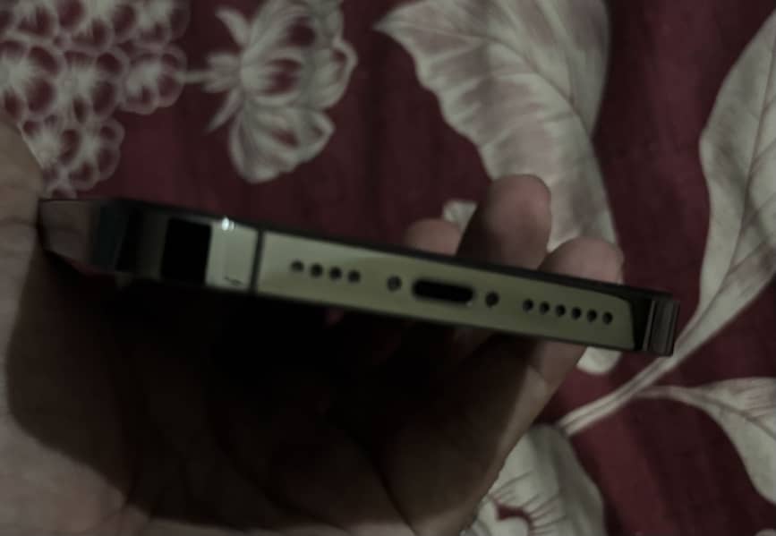 Apple iPhone 13 Pro Max 2