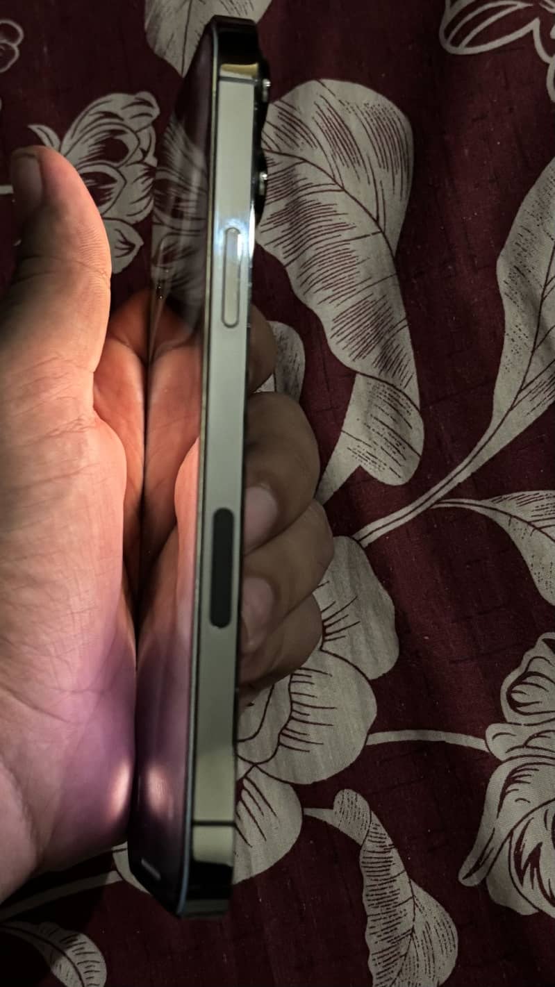 Apple iPhone 13 Pro Max 3