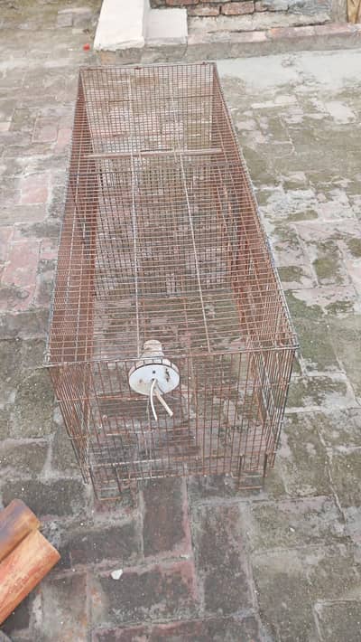 birds house