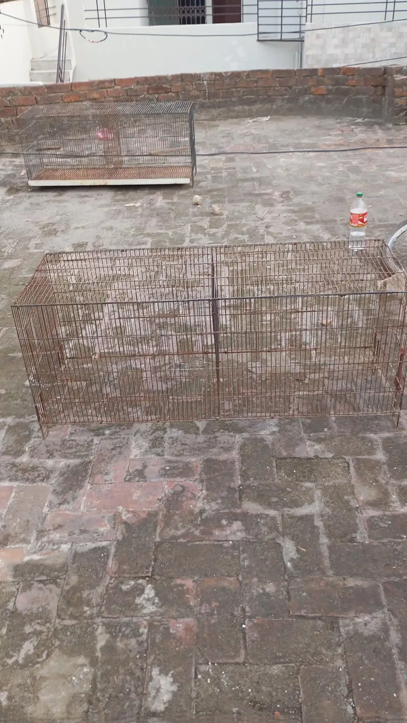 birds house — photo 2