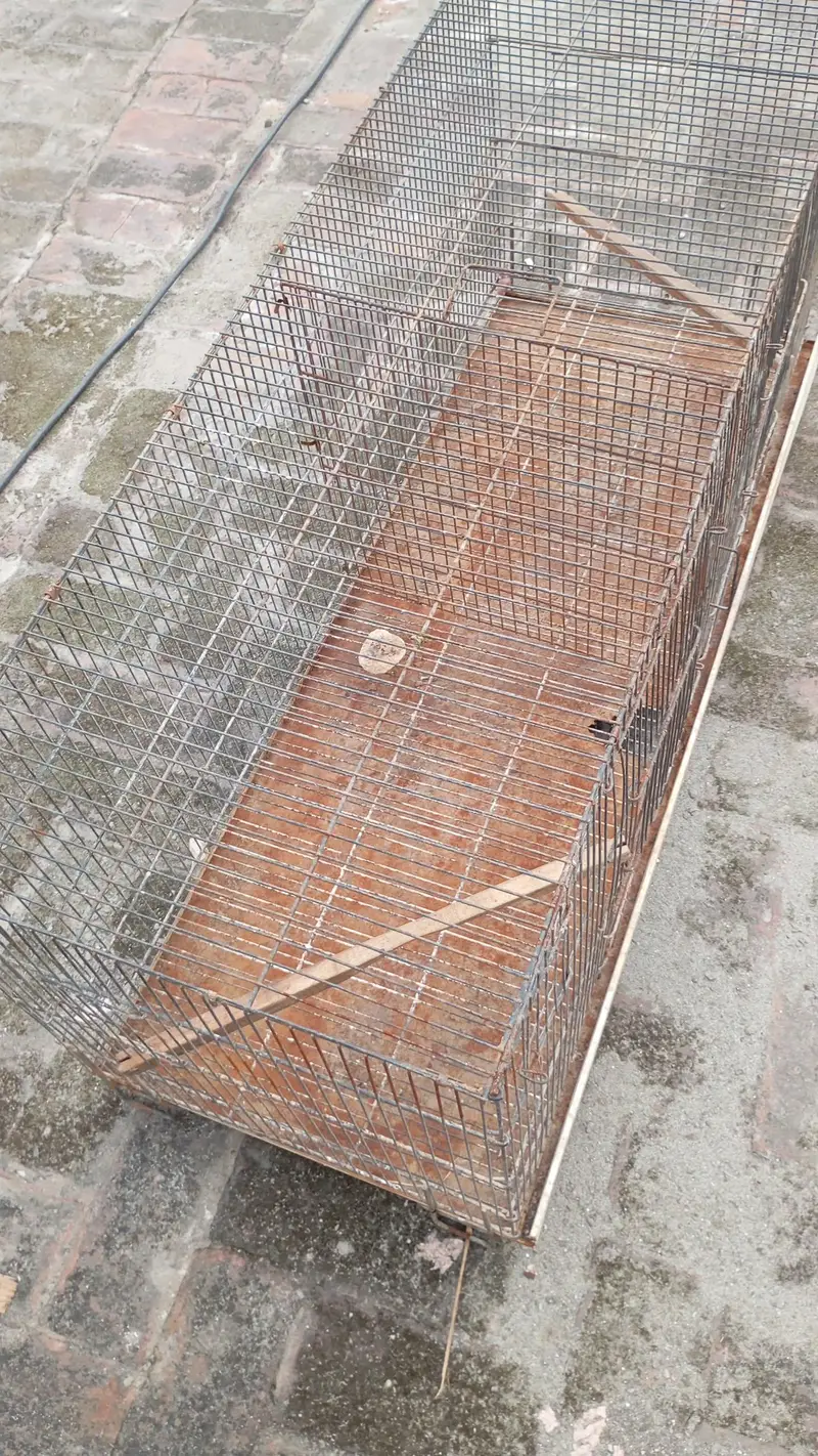 birds house — photo 3