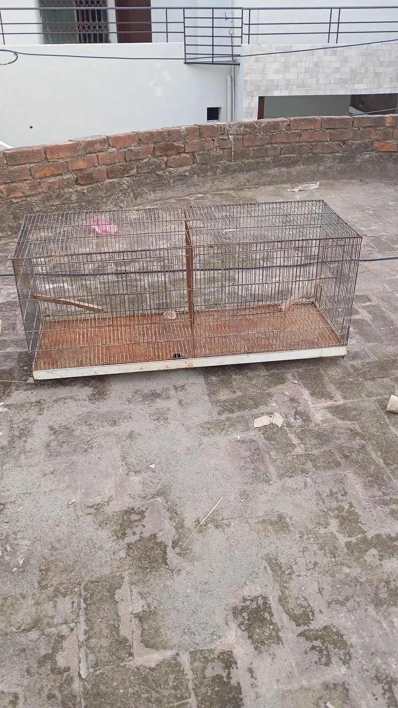 birds house — photo 4