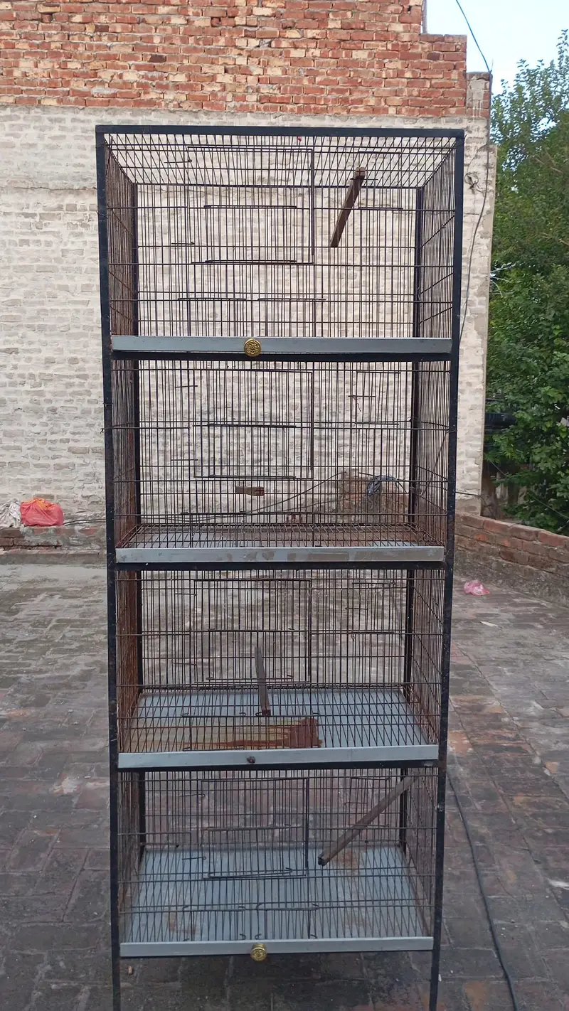 birds house — photo 5