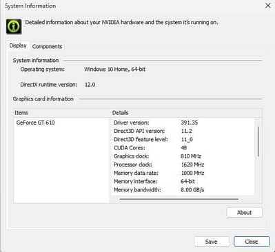 NVIDIA GT 610 1GB