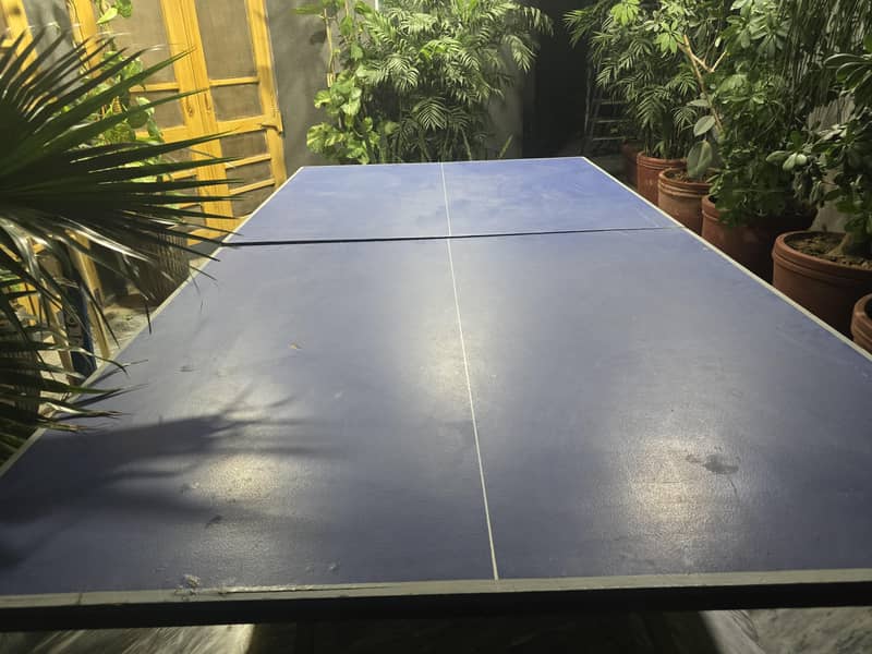 table tennis 1