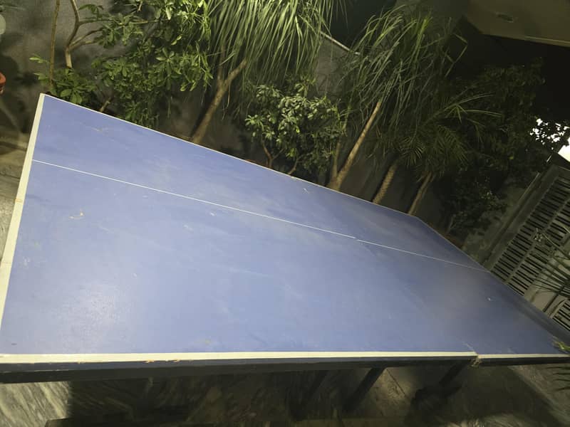 table tennis 5
