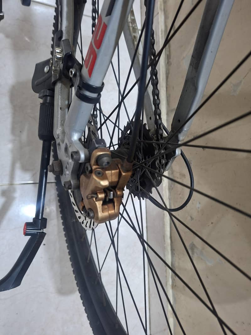 Alvas cycle 2