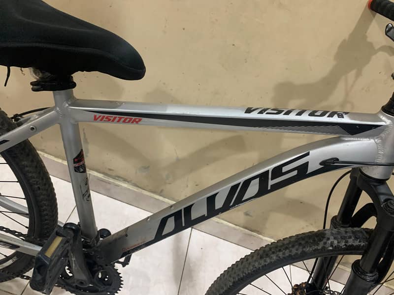 Alvas cycle 8
