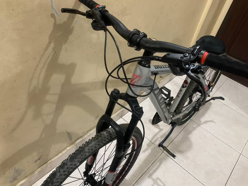 Alvas cycle 10