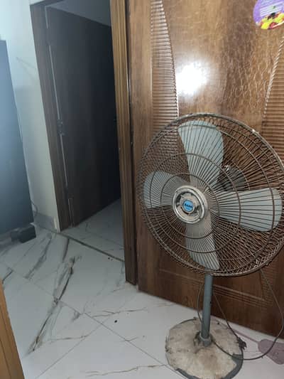 This fan available