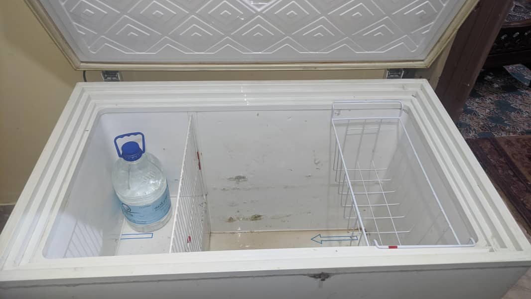 waves freezer 1