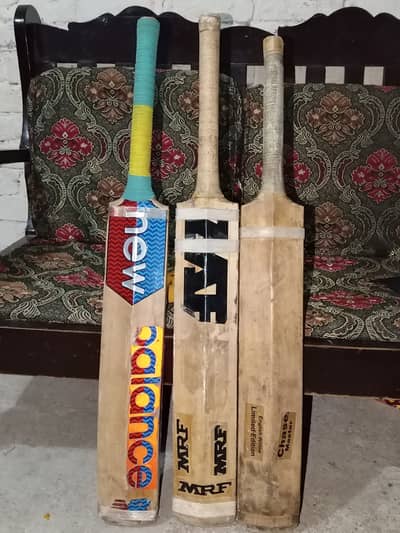 Bats for sale