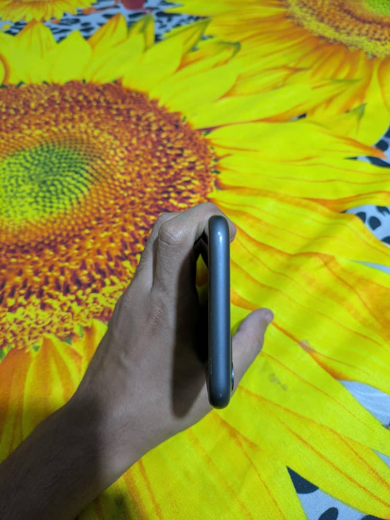 Apple iPhone 11 3