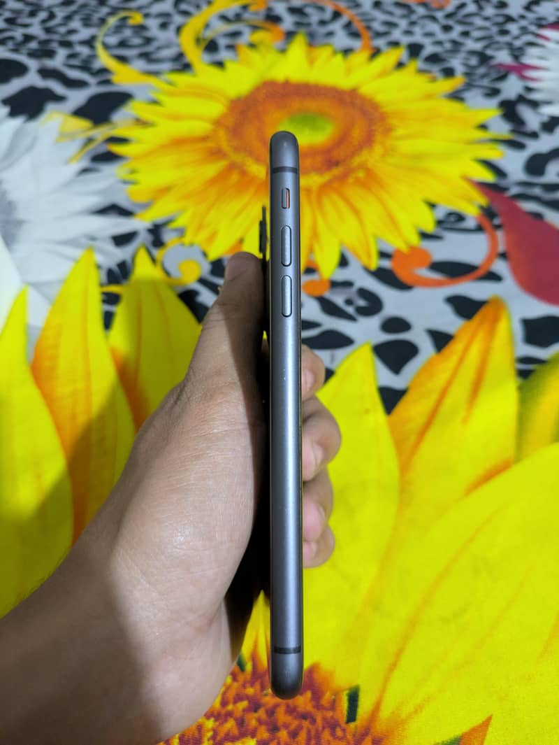 Apple iPhone 11 4