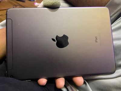 ipad mini 5