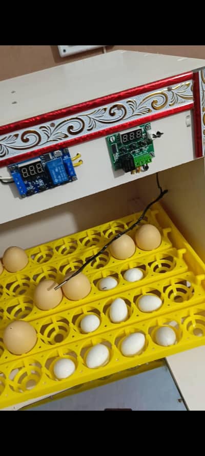 AUTOMATIC INCUBATOR