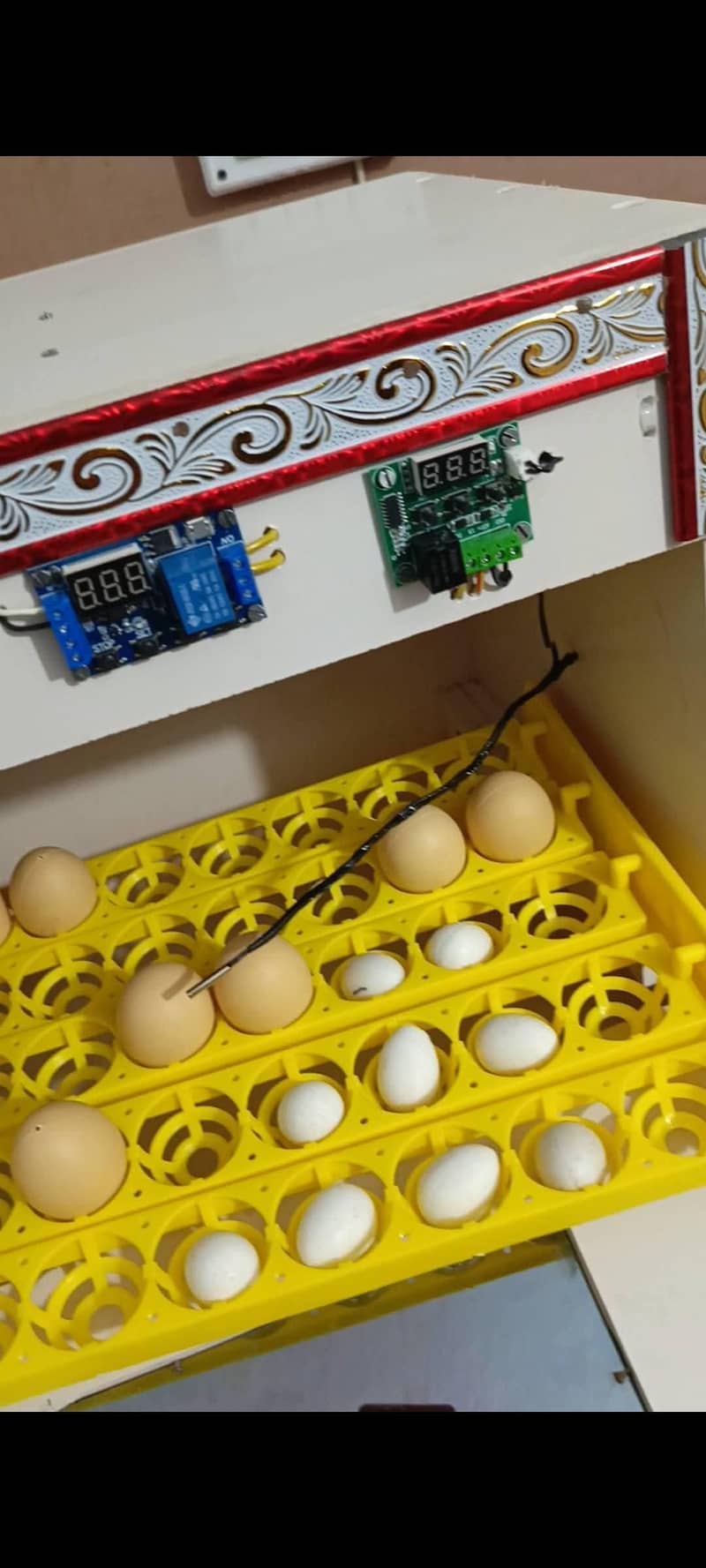 AUTOMATIC INCUBATOR 0