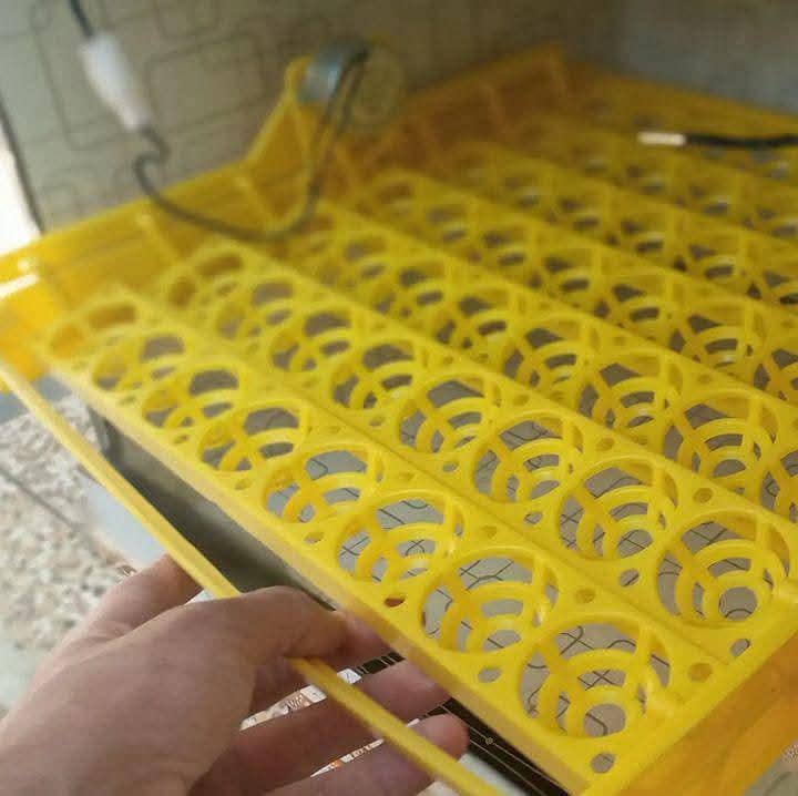 AUTOMATIC INCUBATOR 2