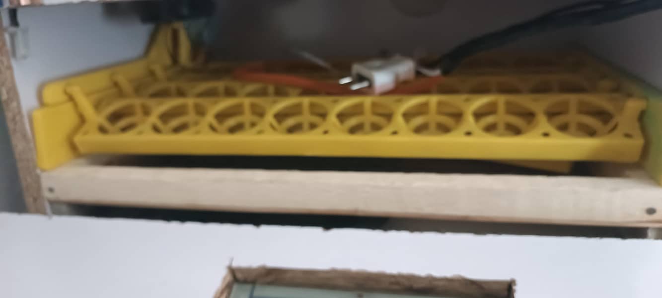 AUTOMATIC INCUBATOR 4