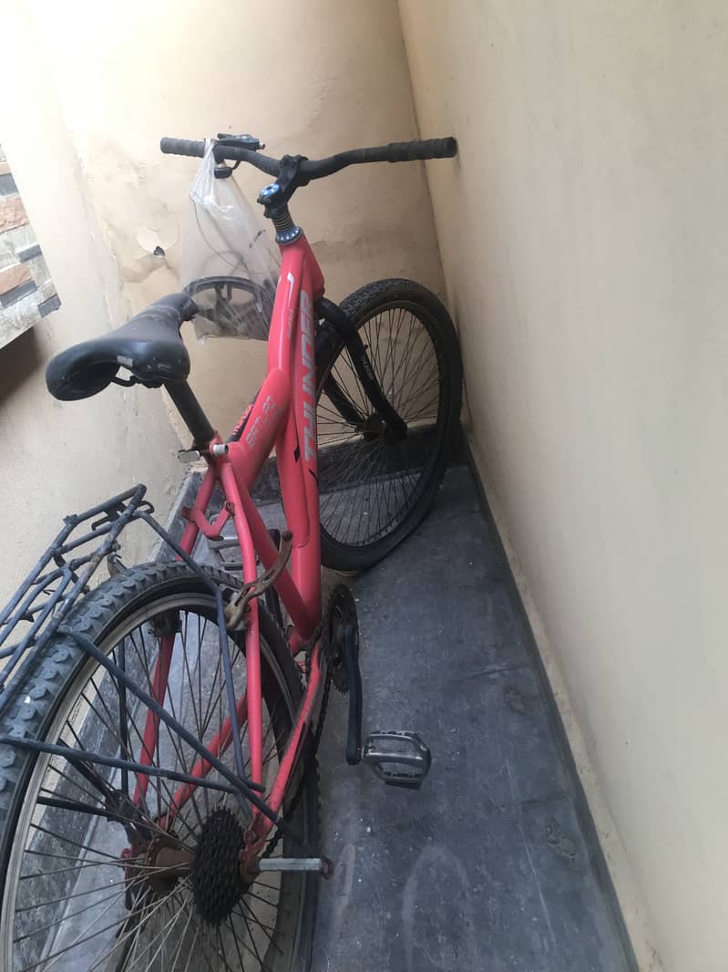 Double frame cycle 1