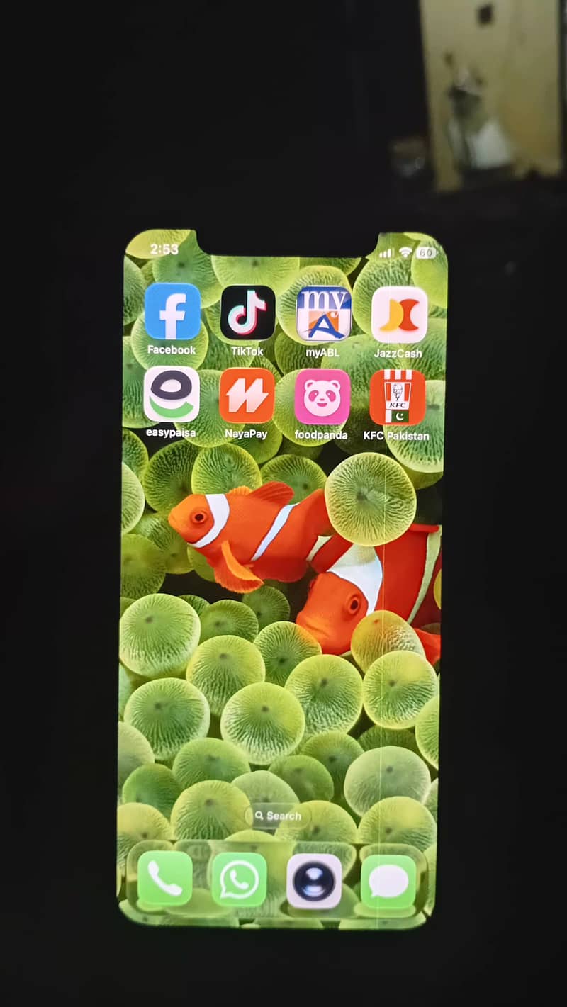 Apple iPhone 11 Pro 2