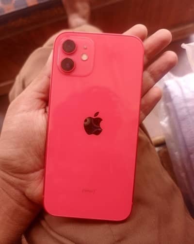 Apple iPhone 12