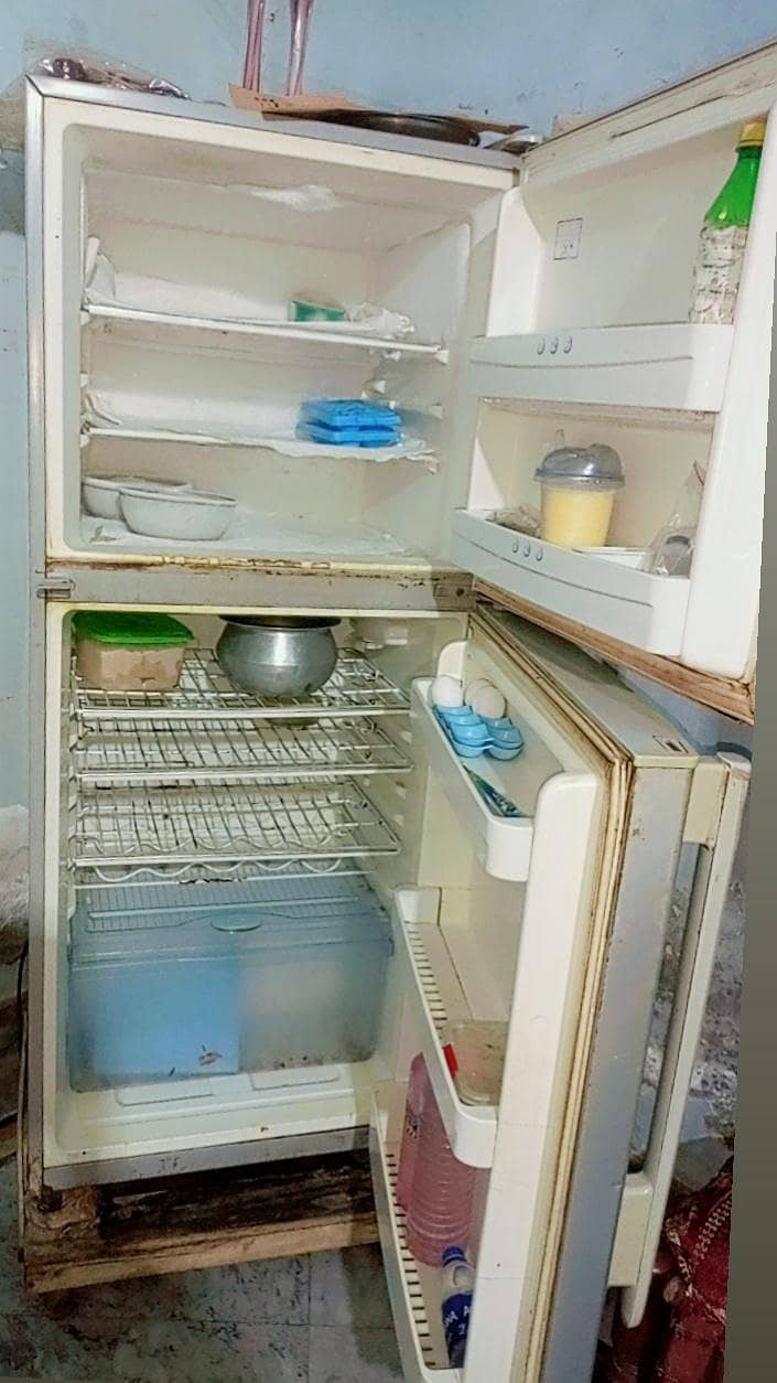 Fridge 1