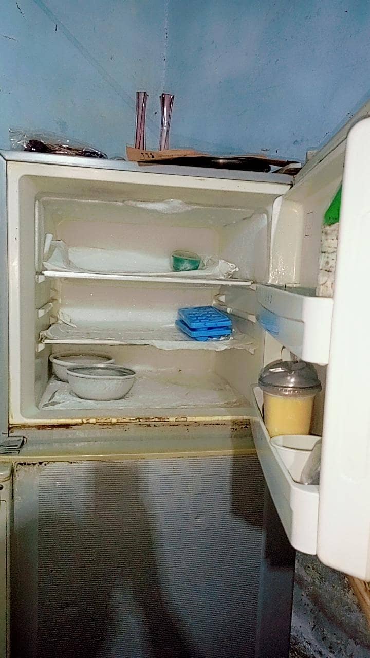 Fridge 3
