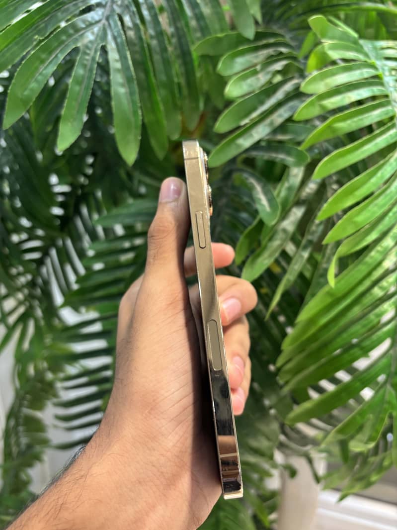 Apple iPhone 13 Pro Max 1