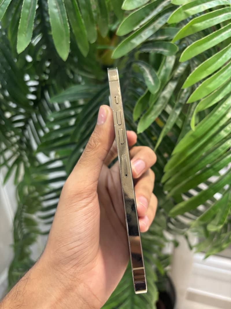 Apple iPhone 13 Pro Max 2