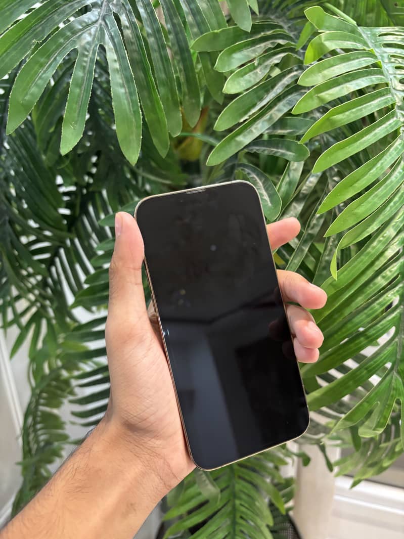 Apple iPhone 13 Pro Max 3
