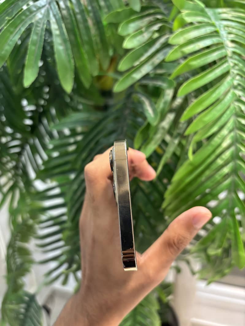 Apple iPhone 13 Pro Max 5