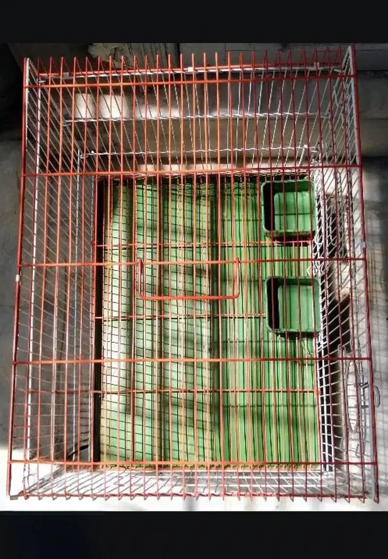 cage for sale — photo 3