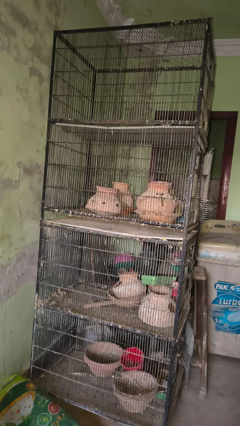 Cage for sale
