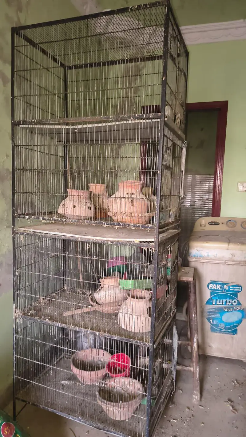 Cage for sale — photo 2