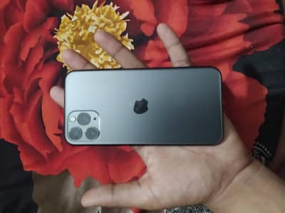 Apple iPhone 11 Pro