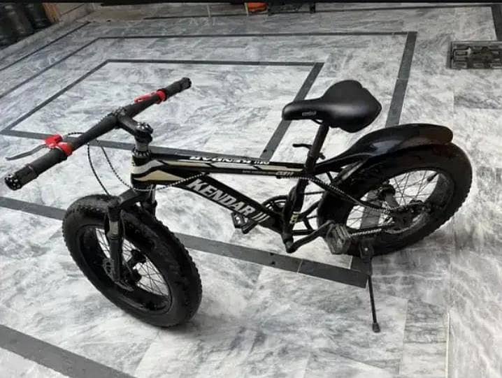 bicycle 0