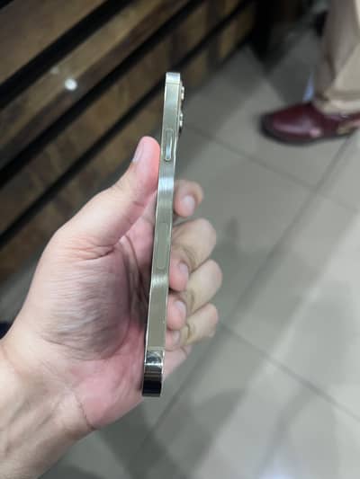 Apple iPhone 12 Pro Max