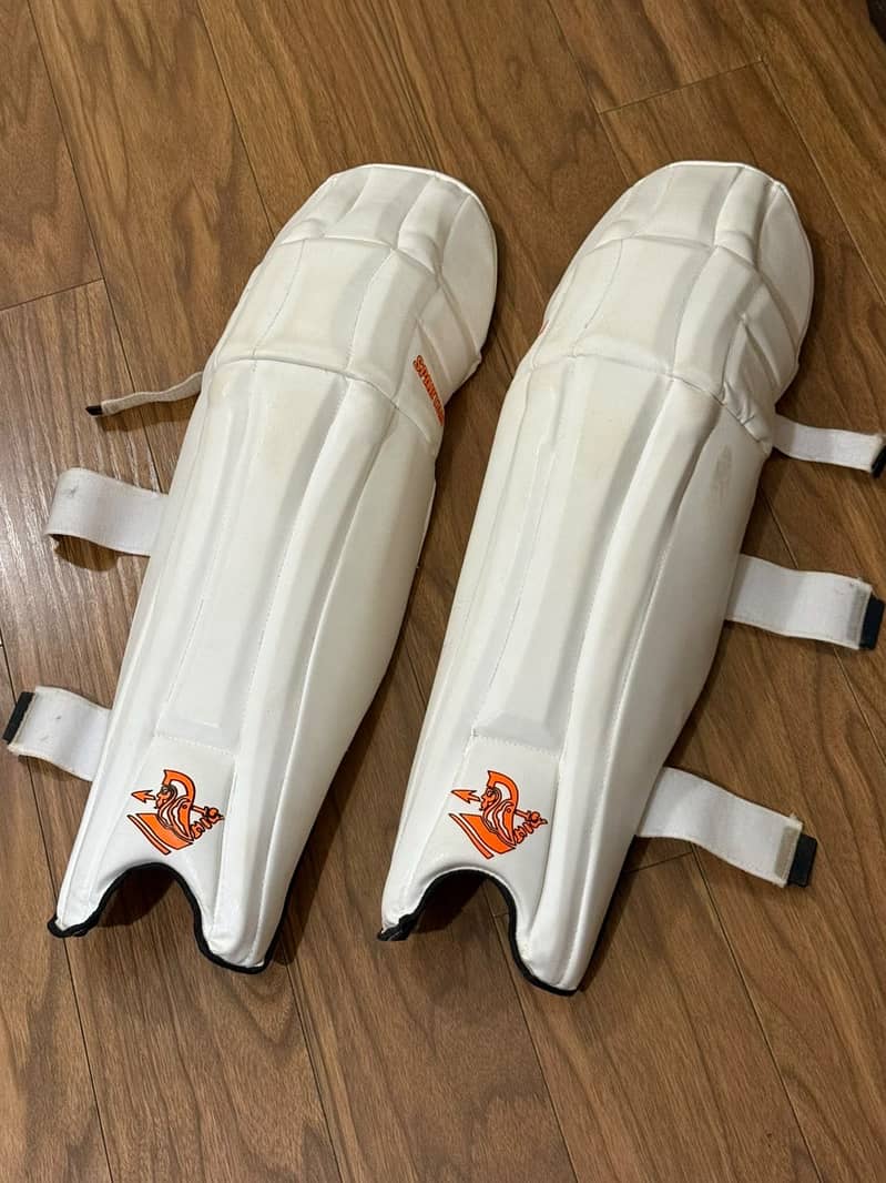 Cricket kit 3
