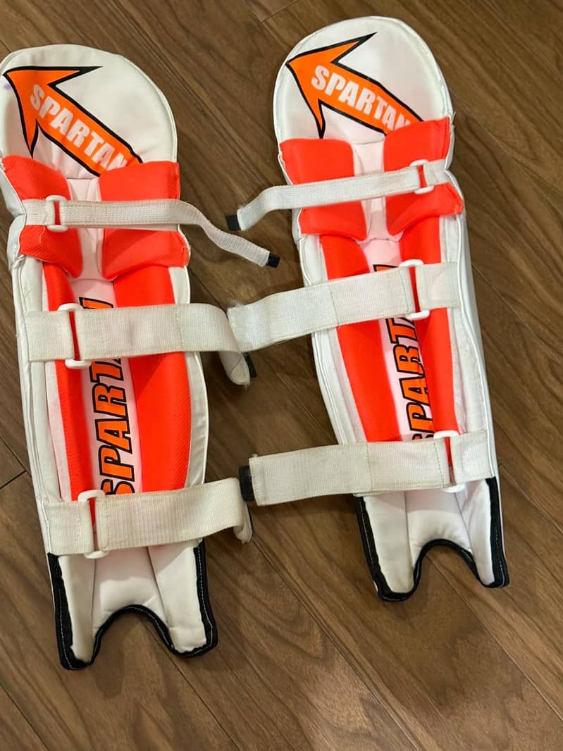 Cricket kit 5