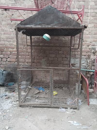 pinjra for sale