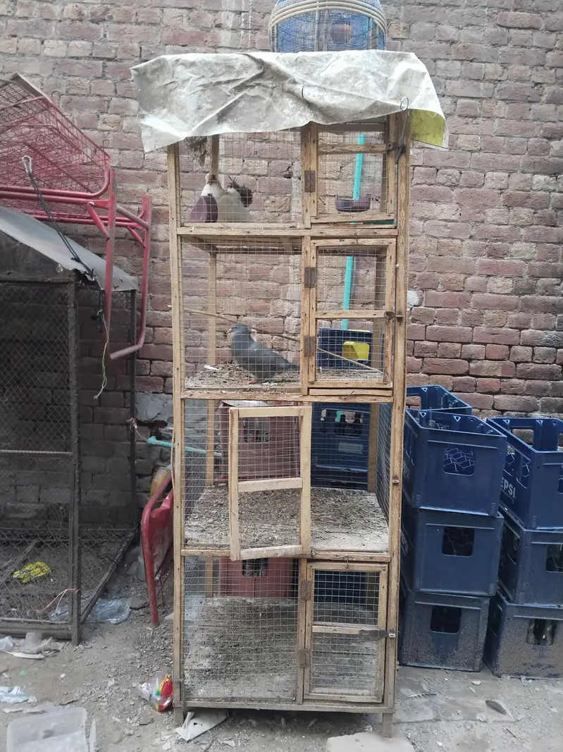 pinjra for sale — photo 2